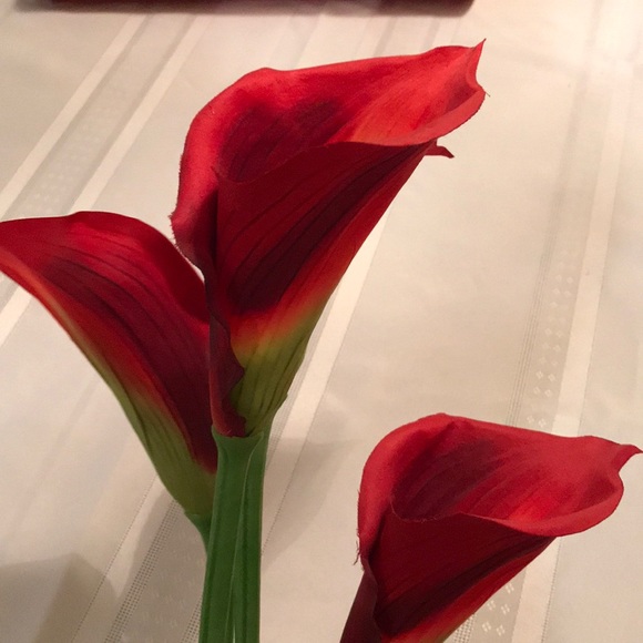 Meet your Posher, Regina - Picture 1 of 1